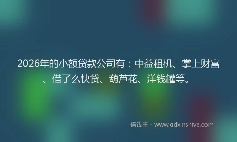 2026年的小额贷款公司有：中益租机、掌上财富、借了么快贷、葫芦花、洋钱罐等。