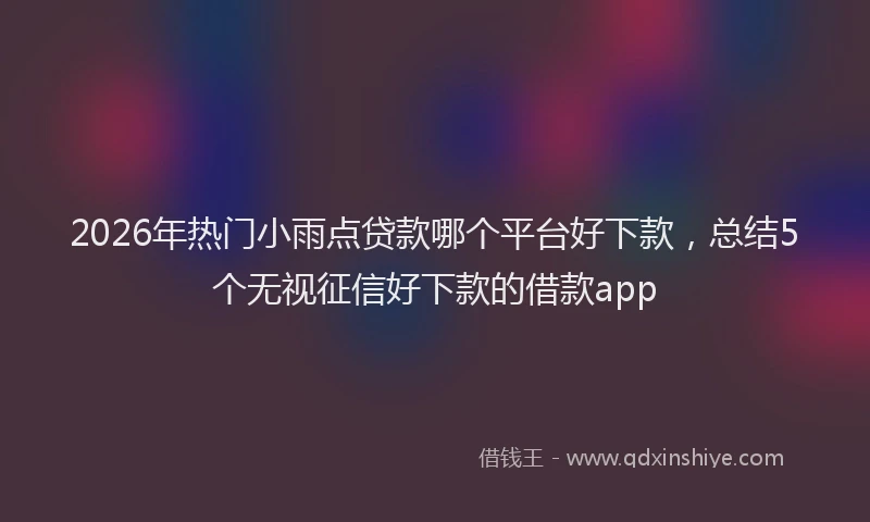 2026年热门小雨点贷款哪个平台好下款，总结5个无视征信好下款的借款app