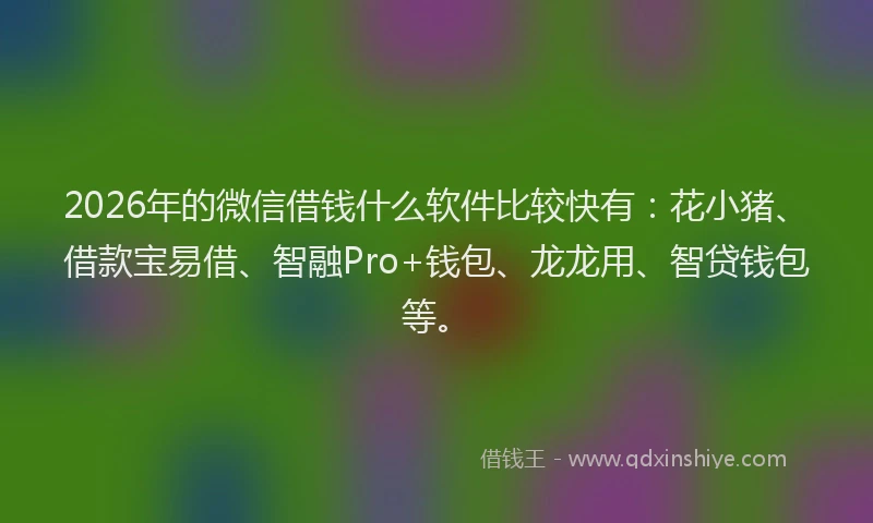 2026年的微信借钱什么软件比较快有：花小猪、借款宝易借、智融Pro+钱包、龙龙用、智贷钱包等。
