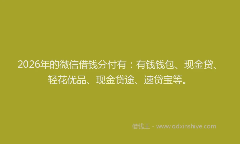 2026年的微信借钱分付有：有钱钱包、现金贷、轻花优品、现金贷途、速贷宝等。