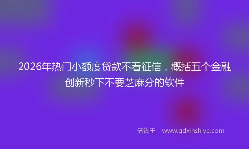 2026年热门小额度贷款不看征信，概括五个金融创新秒下不要芝麻分的软件