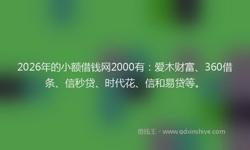 2026年的小额借钱网2000有：爱木财富、360借条、信秒贷、时代花、信和易贷等。