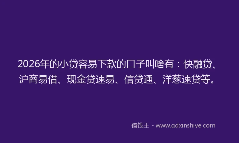 2026年的小贷容易下款的口子叫啥有：快融贷、沪商易借、现金贷速易、信贷通、洋葱速贷等。