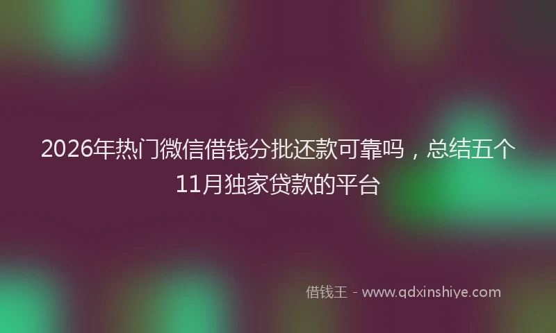2026年热门微信借钱分批还款可靠吗，总结五个11月独家贷款的平台
