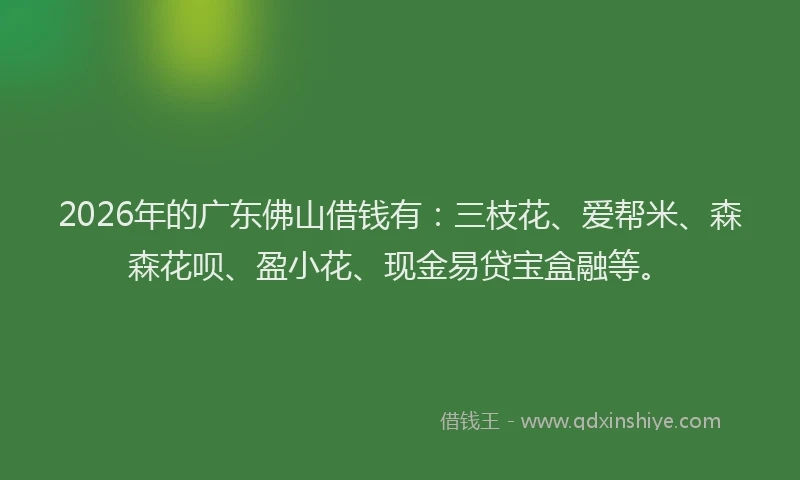 2026年的广东佛山借钱有：三枝花、爱帮米、森森花呗、盈小花、现金易贷宝盒融等。