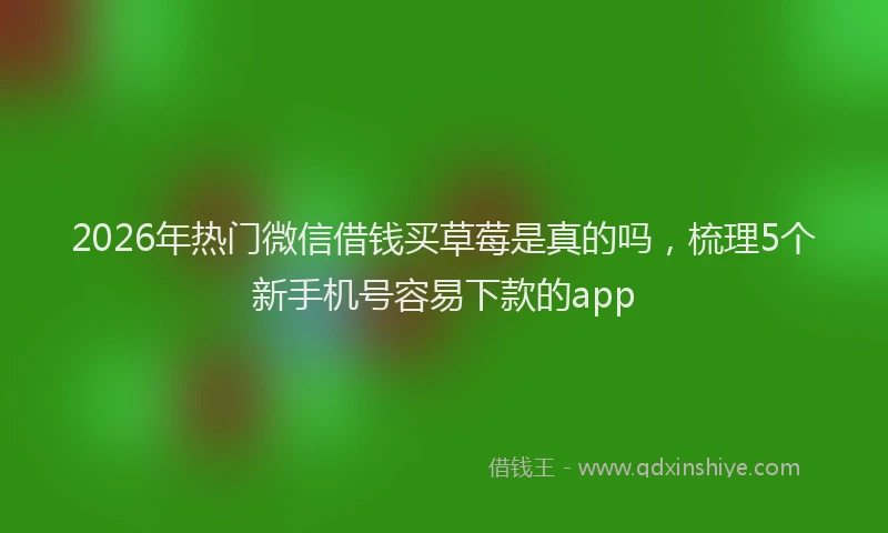 2026年热门微信借钱买草莓是真的吗，梳理5个新手机号容易下款的app
