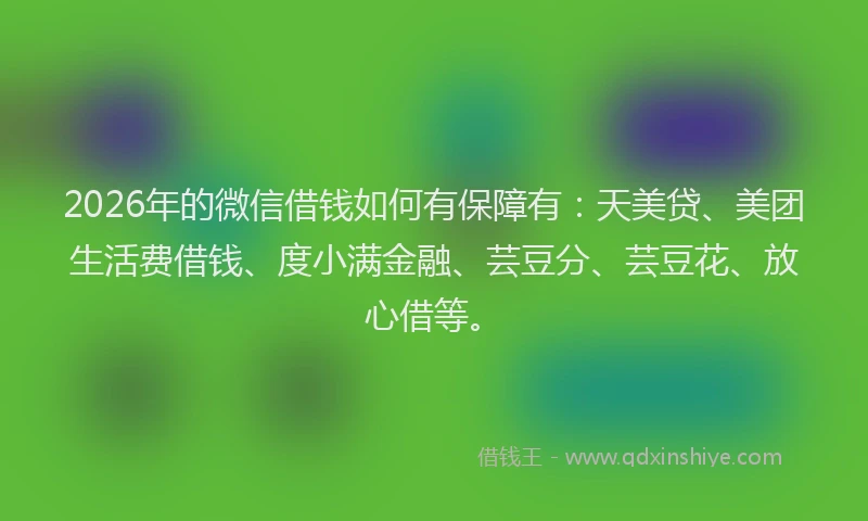 2026年的微信借钱如何有保障有：天美贷、美团生活费借钱、度小满金融、芸豆分、芸豆花、放心借等。