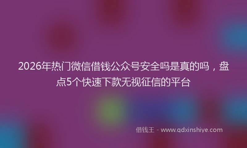 2026年热门微信借钱公众号安全吗是真的吗，盘点5个快速下款无视征信的平台