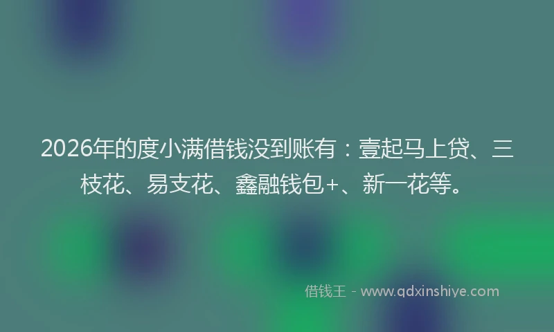 2026年的度小满借钱没到账有：壹起马上贷、三枝花、易支花、鑫融钱包+、新一花等。