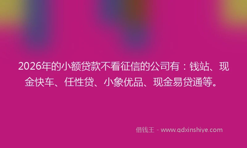 2026年的小额贷款不看征信的公司有：钱站、现金快车、任性贷、小象优品、现金易贷通等。