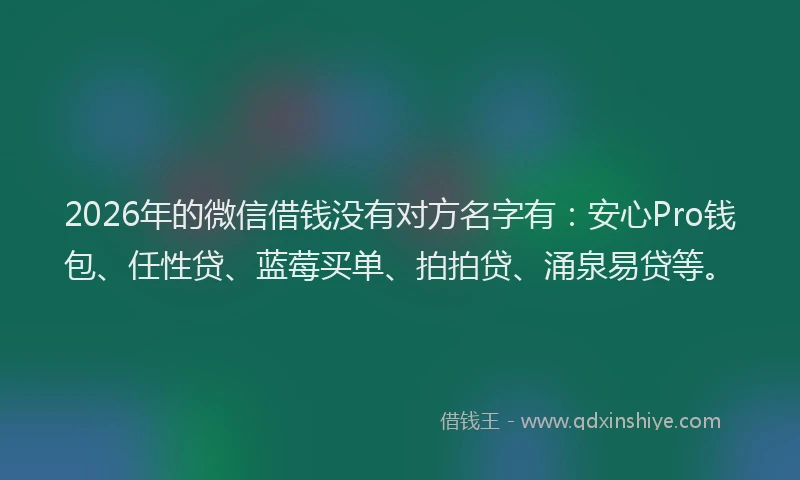 2026年的微信借钱没有对方名字有：安心Pro钱包、任性贷、蓝莓买单、拍拍贷、涌泉易贷等。
