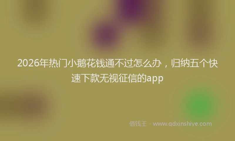 2026年热门小鹅花钱通不过怎么办，归纳五个快速下款无视征信的app
