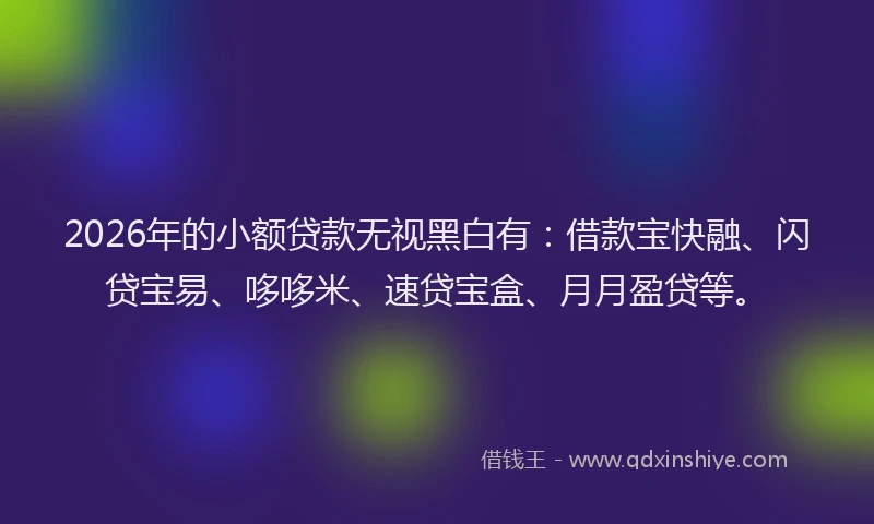 2026年的小额贷款无视黑白有：借款宝快融、闪贷宝易、哆哆米、速贷宝盒、月月盈贷等。