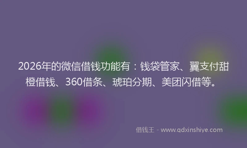 2026年的微信借钱功能有：钱袋管家、翼支付甜橙借钱、360借条、琥珀分期、美团闪借等。
