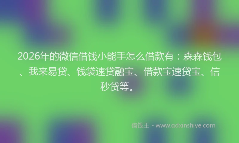 2026年的微信借钱小能手怎么借款有：森森钱包、我来易贷、钱袋速贷融宝、借款宝速贷宝、信秒贷等。