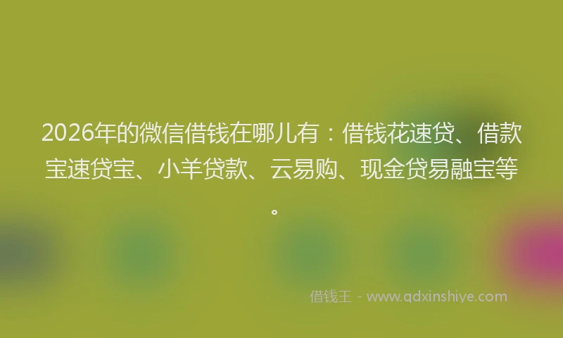 2026年的微信借钱在哪儿有：借钱花速贷、借款宝速贷宝、小羊贷款、云易购、现金贷易融宝等。