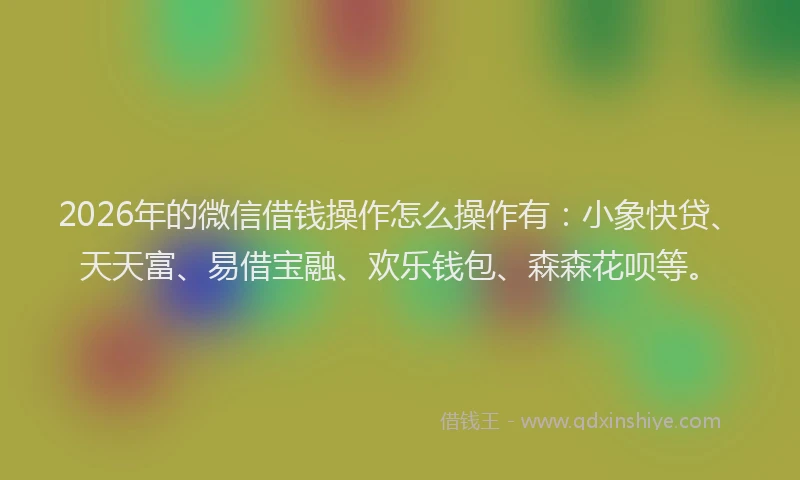 2026年的微信借钱操作怎么操作有：小象快贷、天天富、易借宝融、欢乐钱包、森森花呗等。