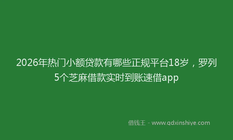 2026年热门小额贷款有哪些正规平台18岁，罗列5个芝麻借款实时到账速借app