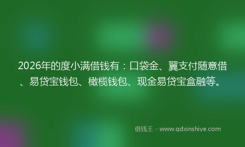 2026年的度小满借钱有：口袋金、翼支付随意借、易贷宝钱包、橄榄钱包、现金易贷宝盒融等。