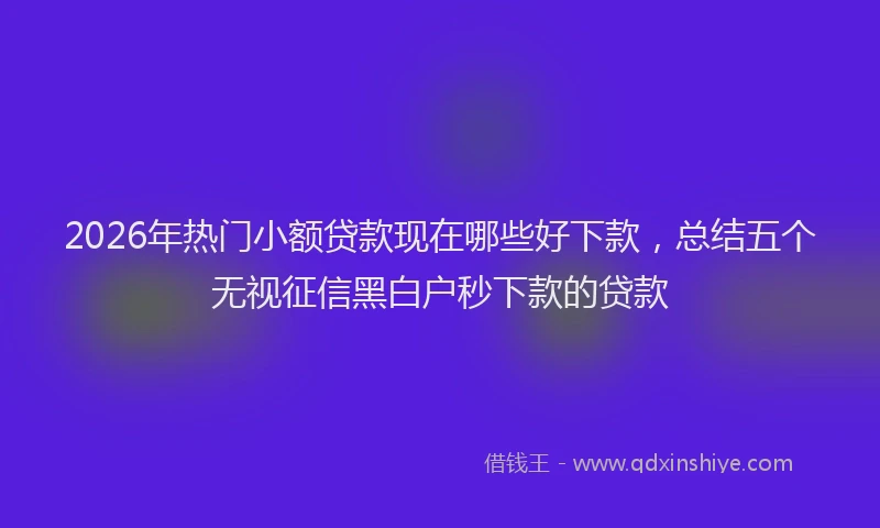 2026年热门小额贷款现在哪些好下款，总结五个无视征信黑白户秒下款的贷款