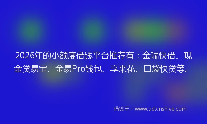 2026年的小额度借钱平台推荐有：金瑞快借、现金贷易宝、金易Pro钱包、享来花、口袋快贷等。