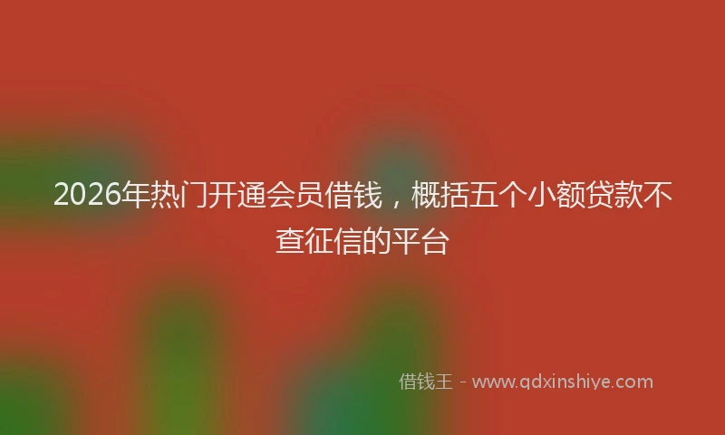 2026年热门开通会员借钱，概括五个小额贷款不查征信的平台