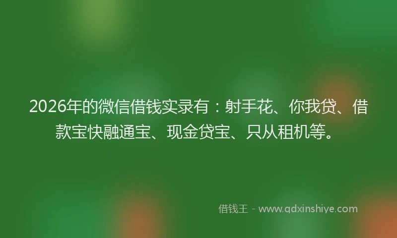 2026年的微信借钱实录有:射手花、你我贷、借款宝快融通宝、现金贷宝、只从租机等。
