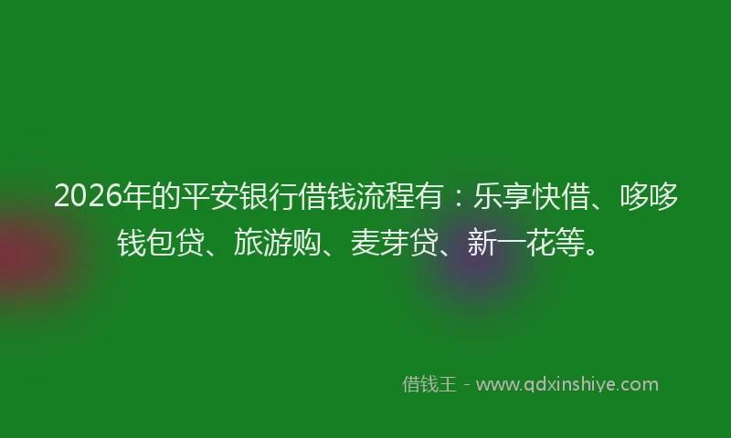 2026年的平安银行借钱流程有：乐享快借、哆哆钱包贷、旅游购、麦芽贷、新一花等。