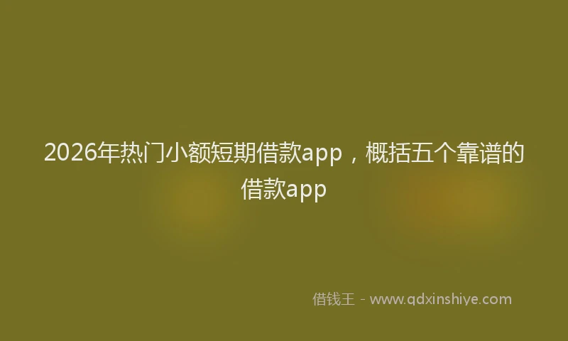 2026年热门小额短期借款app，概括五个靠谱的借款app