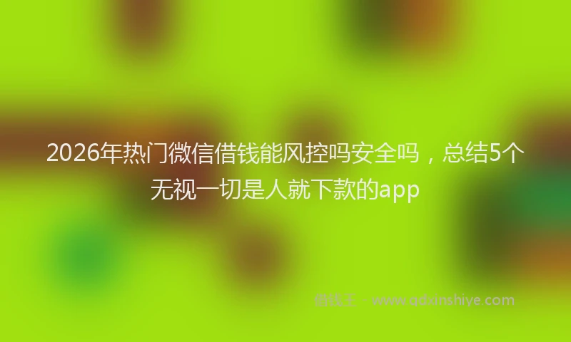 2026年热门微信借钱能风控吗安全吗，总结5个无视一切是人就下款的app