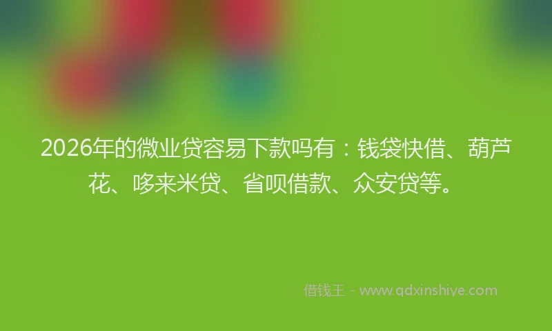 2026年的微业贷容易下款吗有：钱袋快借、葫芦花、哆来米贷、省呗借款、众安贷等。