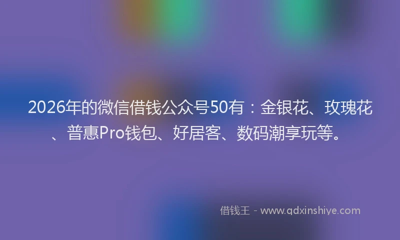 2026年的微信借钱公众号50有:金银花、玫瑰花、普惠Pro钱包、好居客、数码潮享玩等。