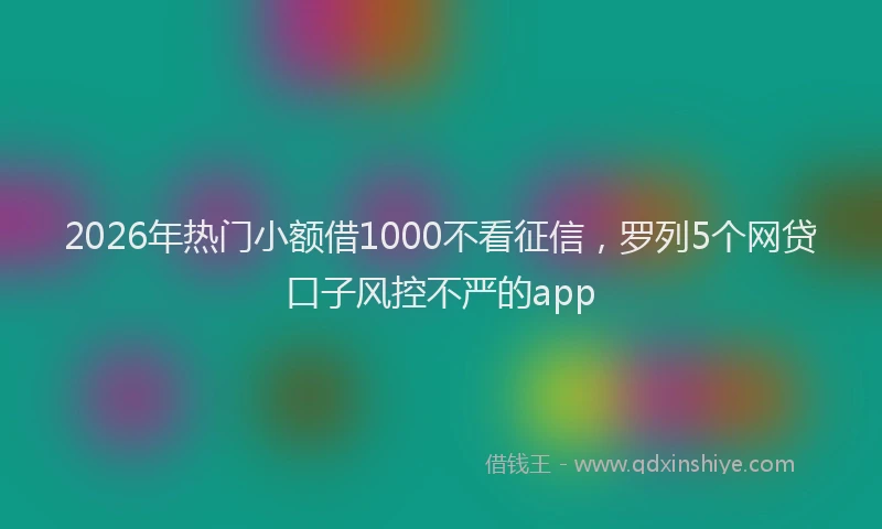 2026年热门小额借1000不看征信，罗列5个网贷口子风控不严的app