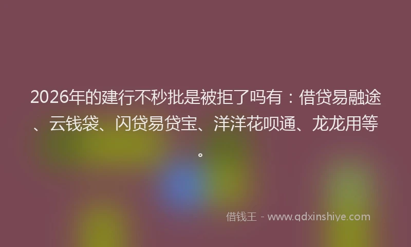 2026年的建行不秒批是被拒了吗有：借贷易融途、云钱袋、闪贷易贷宝、洋洋花呗通、龙龙用等。
