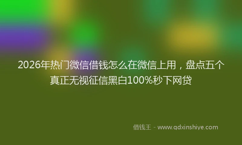2026年热门微信借钱怎么在微信上用,盘点五个真正无视征信黑白100%秒下网贷