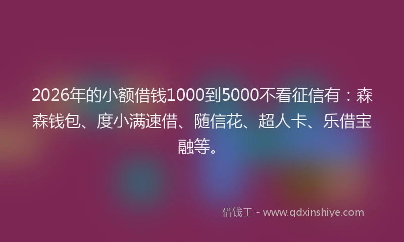 2026年的小额借钱1000到5000不看征信有：森森钱包、度小满速借、随信花、超人卡、乐借宝融等。