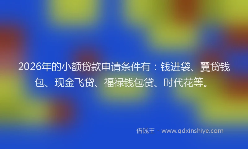 2026年的小额贷款申请条件有:钱进袋、翼贷钱包、现金飞贷、福禄钱包贷、时代花等。