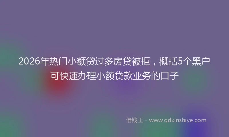 2026年热门小额贷过多房贷被拒，概括5个黑户可快速办理小额贷款业务的口子