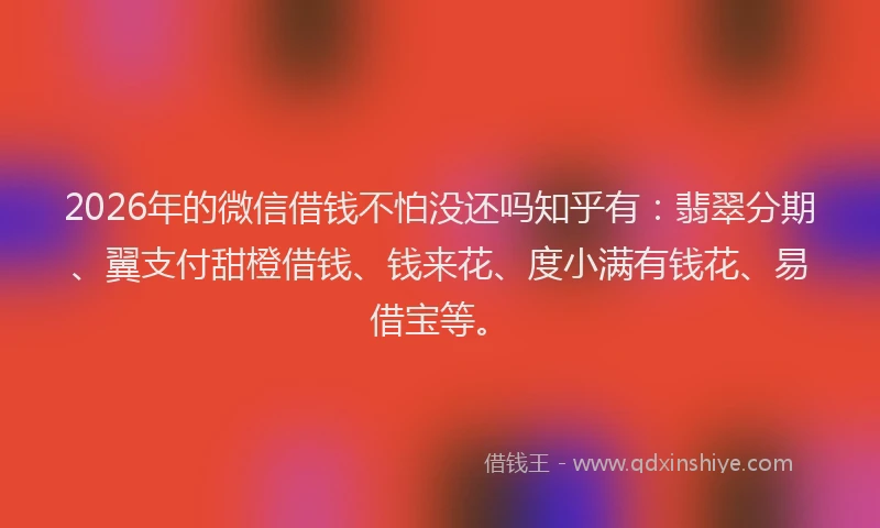 2026年的微信借钱不怕没还吗知乎有：翡翠分期、翼支付甜橙借钱、钱来花、度小满有钱花、易借宝等。