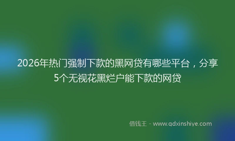 2026年热门强制下款的黑网贷有哪些平台，分享5个无视花黑烂户能下款的网贷