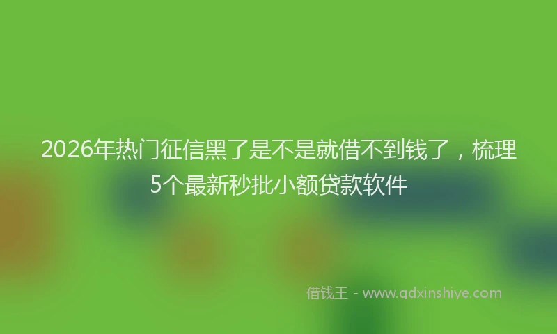 2026年热门征信黑了是不是就借不到钱了，梳理5个最新秒批小额贷款软件