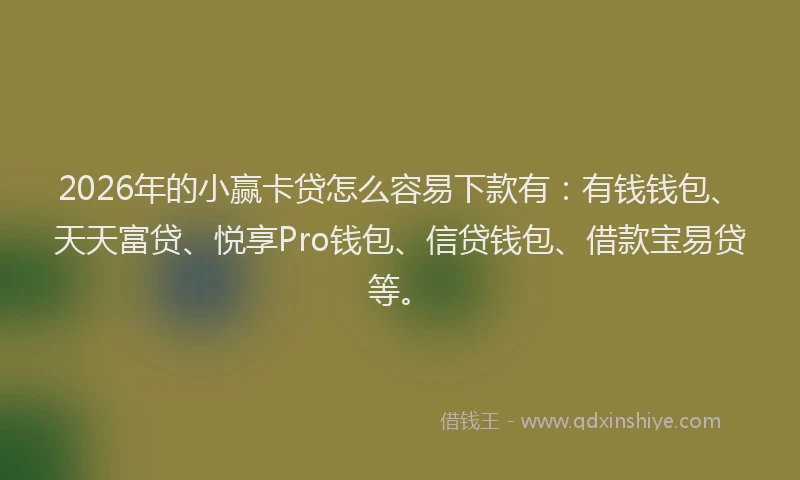 2026年的小赢卡贷怎么容易下款有:有钱钱包、天天富贷、悦享Pro钱包、信贷钱包、借款宝易贷等。