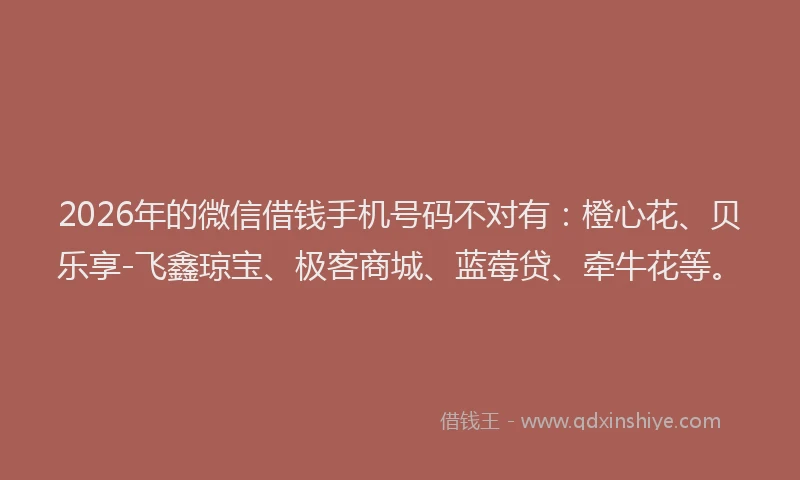 2026年的微信借钱手机号码不对有:橙心花、贝乐享-飞鑫琼宝、极客商城、蓝莓贷、牵牛花等。