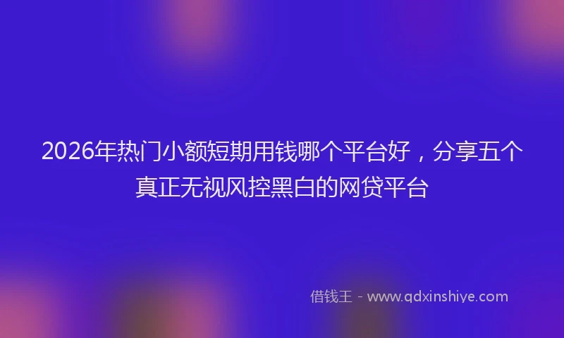 2026年热门小额短期用钱哪个平台好，分享五个真正无视风控黑白的网贷平台
