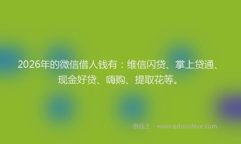 2026年的微信借人钱有：维信闪贷、掌上贷通、现金好贷、嗨购、提取花等。