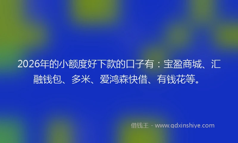 2026年的小额度好下款的口子有：宝盈商城、汇融钱包、多米、爱鸿森快借、有钱花等。