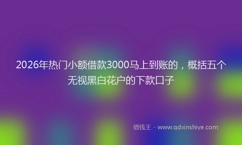 2026年热门小额借款3000马上到账的，概括五个无视黑白花户的下款口子