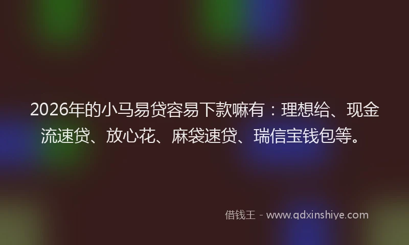2026年的小马易贷容易下款嘛有：理想给、现金流速贷、放心花、麻袋速贷、瑞信宝钱包等。