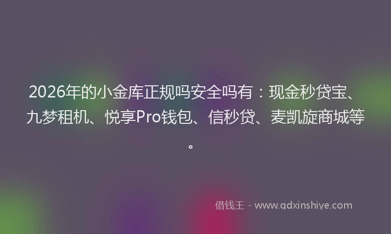 2026年的小金库正规吗安全吗有:现金秒贷宝、九梦租机、悦享Pro钱包、信秒贷、麦凯旋商城等。