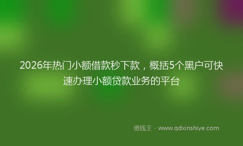 2026年热门小额借款秒下款，概括5个黑户可快速办理小额贷款业务的平台